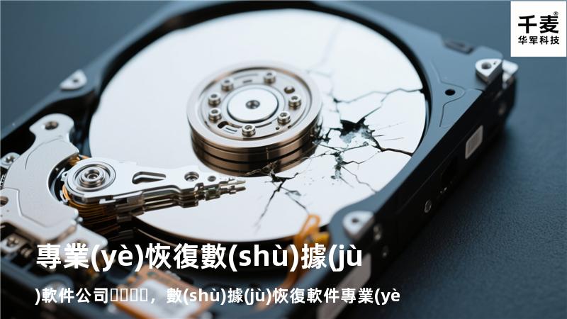 專業(yè)恢復數(shù)據(jù)軟件公司，數(shù)據(jù)恢復軟件專業(yè)版